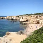 Apartment Pine Tree Seaside 500m To *