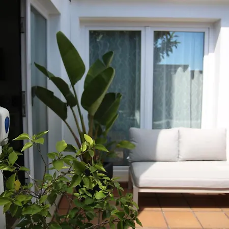 Pine Tree - Da Coelha - Apartament *