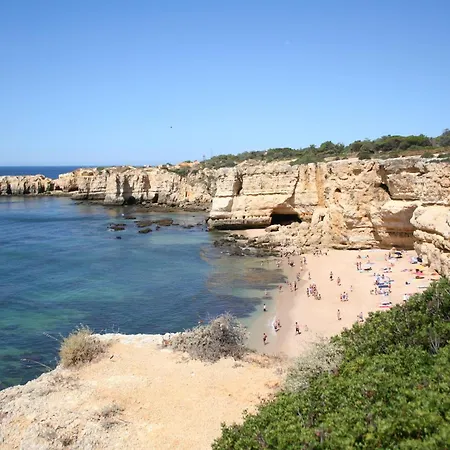 Apartman Pine Tree Seaside 500m To *