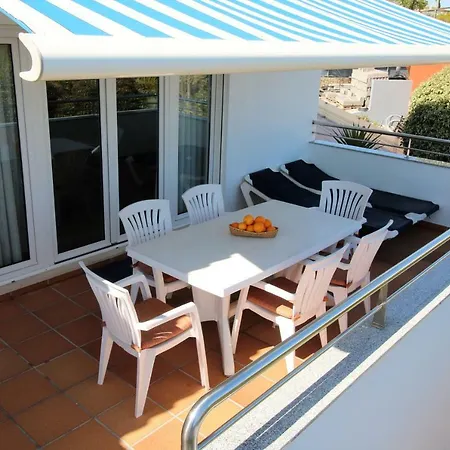 Pine Tree - Da Coelha - アルブフェイラ