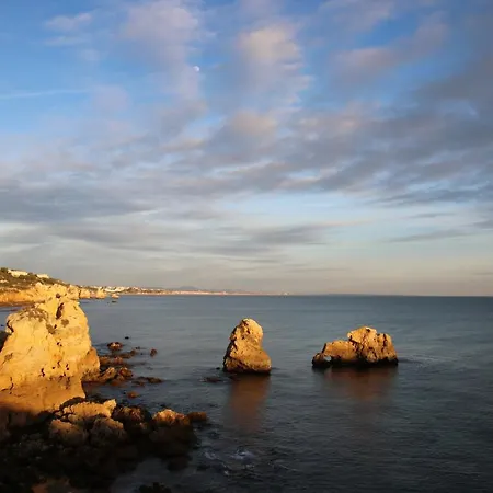 Pine Tree - Da Coelha - アパート *