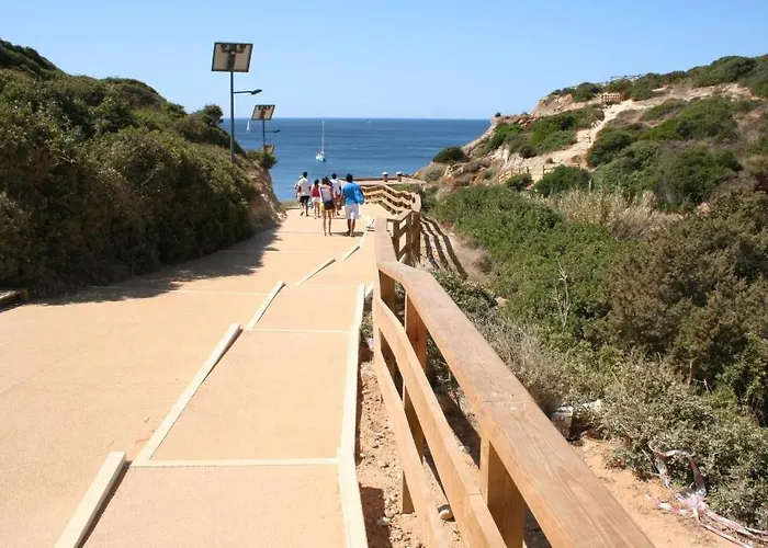 Apartman Pine Tree Seaside 500m To *