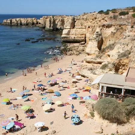 Апартаменты Pine Tree Seaside Apartments 500M To Beach *